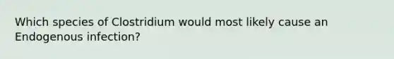 Which species of Clostridium would most likely cause an Endogenous infection?