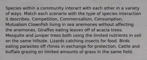 Species within a community interact with each other in a variety of ways. Match each scenario with the type of species interaction it describes. Competition, Commensalism, Consumption, Mutualism Clownfish living in sea anemones without affecting the anemones. Giraffes eating leaves off of acacia trees. Mesquite and juniper trees both using the limited nutrients in soil on the same hillside. Lizards catching insects for food. Birds eating parasites off rhinos in exchange for protection. Cattle and buffalo grazing on limited amounts of grass in the same field.