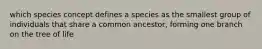 which species concept defines a species as the smallest group of individuals that share a common ancestor, forming one branch on the tree of life