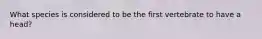 What species is considered to be the first vertebrate to have a head?