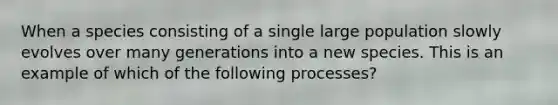 When a species consisting of a single large population slowly evolves over many generations into a new species. This is an example of which of the following processes?