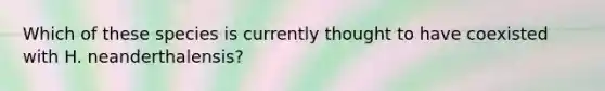Which of these species is currently thought to have coexisted with H. neanderthalensis?