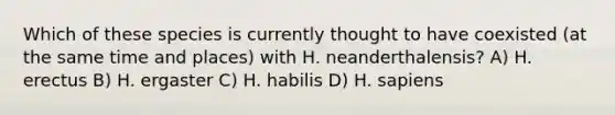 Which of these species is currently thought to have coexisted (at the same time and places) with H. neanderthalensis? A) H. erectus B) H. ergaster C) H. habilis D) H. sapiens