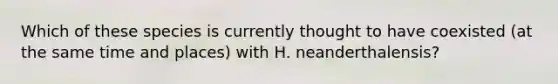 Which of these species is currently thought to have coexisted (at the same time and places) with H. neanderthalensis?