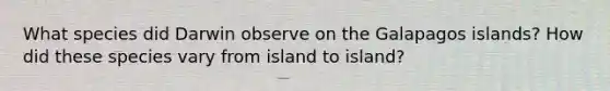 What species did Darwin observe on the Galapagos islands? How did these species vary from island to island?