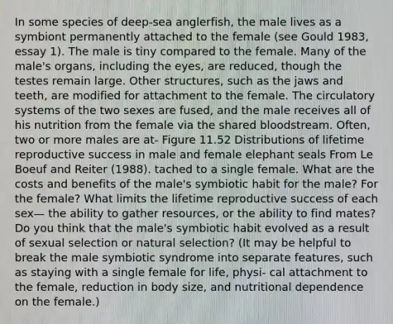 In some species of deep-sea anglerfish, the male lives as a symbiont permanently attached to the female (see Gould 1983, essay 1). The male is tiny compared to the female. Many of the male's organs, including the eyes, are reduced, though the testes remain large. Other structures, such as the jaws and teeth, are modified for attachment to the female. The circulatory systems of the two sexes are fused, and the male receives all of his nutrition from the female via the shared bloodstream. Often, two or more males are at- Figure 11.52 Distributions of lifetime reproductive success in male and female elephant seals From Le Boeuf and Reiter (1988). tached to a single female. What are the costs and benefits of the male's symbiotic habit for the male? For the female? What limits the lifetime reproductive success of each sex— the ability to gather resources, or the ability to find mates? Do you think that the male's symbiotic habit evolved as a result of sexual selection or natural selection? (It may be helpful to break the male symbiotic syndrome into separate features, such as staying with a single female for life, physi- cal attachment to the female, reduction in body size, and nutritional dependence on the female.)