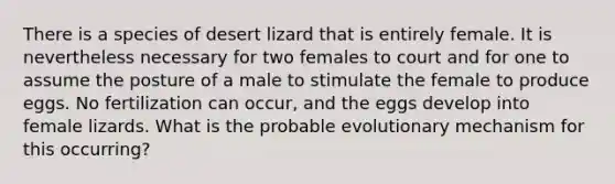 There is a species of desert lizard that is entirely female. It is nevertheless necessary for two females to court and for one to assume the posture of a male to stimulate the female to produce eggs. No fertilization can occur, and the eggs develop into female lizards. What is the probable evolutionary mechanism for this occurring?