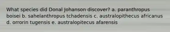 What species did Donal Johanson discover? a. paranthropus boisei b. sahelanthropus tchadensis c. australopithecus africanus d. orrorin tugensis e. australopitecus afarensis