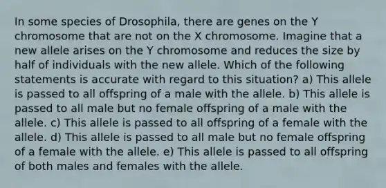 In some species of Drosophila, there are genes on the Y chromosome that are not on the X chromosome. Imagine that a new allele arises on the Y chromosome and reduces the size by half of individuals with the new allele. Which of the following statements is accurate with regard to this situation? a) This allele is passed to all offspring of a male with the allele. b) This allele is passed to all male but no female offspring of a male with the allele. c) This allele is passed to all offspring of a female with the allele. d) This allele is passed to all male but no female offspring of a female with the allele. e) This allele is passed to all offspring of both males and females with the allele.