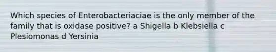 Which species of Enterobacteriaciae is the only member of the family that is oxidase positive? a Shigella b Klebsiella c Plesiomonas d Yersinia