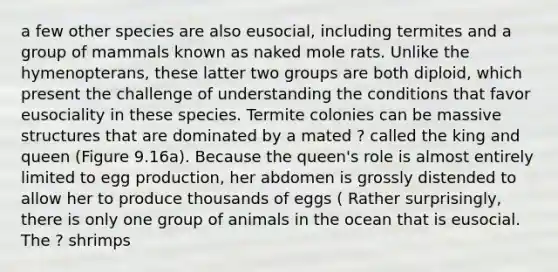 a few other species are also eusocial, including termites and a group of mammals known as naked mole rats. Unlike the hymenopterans, these latter two groups are both diploid, which present the challenge of understanding the conditions that favor eusociality in these species. Termite colonies can be massive structures that are dominated by a mated ? called the king and queen (Figure 9.16a). Because the queen's role is almost entirely limited to egg production, her abdomen is grossly distended to allow her to produce thousands of eggs ( Rather surprisingly, there is only one group of animals in the ocean that is eusocial. The ? shrimps