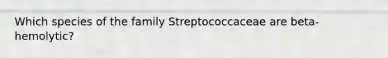 Which species of the family Streptococcaceae are beta-hemolytic?