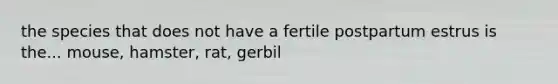 the species that does not have a fertile postpartum estrus is the... mouse, hamster, rat, gerbil