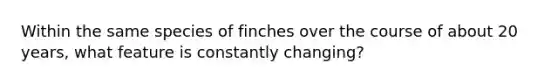 Within the same species of finches over the course of about 20 years, what feature is constantly changing?