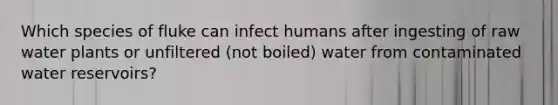 Which species of fluke can infect humans after ingesting of raw water plants or unfiltered (not boiled) water from contaminated water reservoirs?