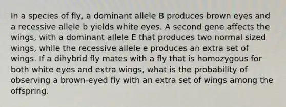 In a species of fly, a dominant allele B produces brown eyes and a recessive allele b yields white eyes. A second gene affects the wings, with a dominant allele E that produces two normal sized wings, while the recessive allele e produces an extra set of wings. If a dihybrid fly mates with a fly that is homozygous for both white eyes and extra wings, what is the probability of observing a brown-eyed fly with an extra set of wings among the offspring.