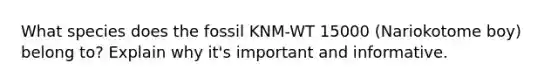 What species does the fossil KNM-WT 15000 (Nariokotome boy) belong to? Explain why it's important and informative.