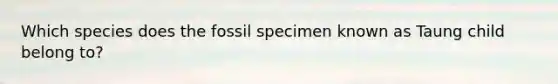 Which species does the fossil specimen known as Taung child belong to?