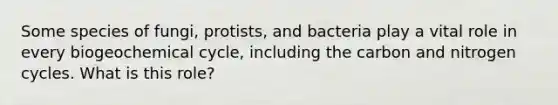 Some species of fungi, protists, and bacteria play a vital role in every biogeochemical cycle, including the carbon and nitrogen cycles. What is this role?