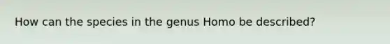 How can the species in the genus Homo be described?