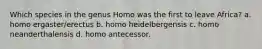 Which species in the genus Homo was the first to leave Africa? a. homo ergaster/erectus b. homo heidelbergensis c. homo neanderthalensis d. homo antecessor.