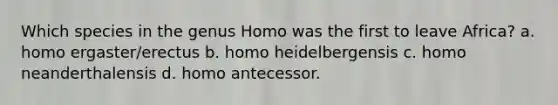 Which species in the genus Homo was the first to leave Africa? a. homo ergaster/erectus b. homo heidelbergensis c. homo neanderthalensis d. homo antecessor.