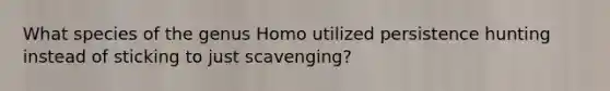 What species of the genus Homo utilized persistence hunting instead of sticking to just scavenging?