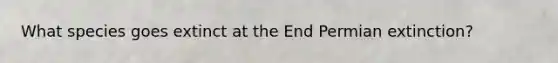 What species goes extinct at the End Permian extinction?