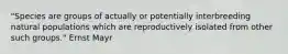 "Species are groups of actually or potentially interbreeding natural populations which are reproductively isolated from other such groups." Ernst Mayr