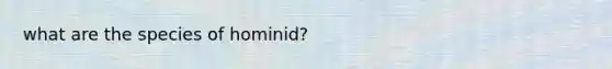 what are the species of hominid?