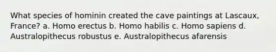 What species of hominin created the cave paintings at Lascaux, France? a. Homo erectus b. Homo habilis c. Homo sapiens d. Australopithecus robustus e. Australopithecus afarensis