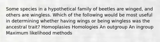 Some species in a hypothetical family of beetles are winged, and others are wingless. Which of the following would be most useful in determining whether having wings or being wingless was the ancestral trait? Homoplasies Homologies An outgroup An ingroup Maximum likelihood methods