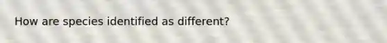 How are species identified as different?