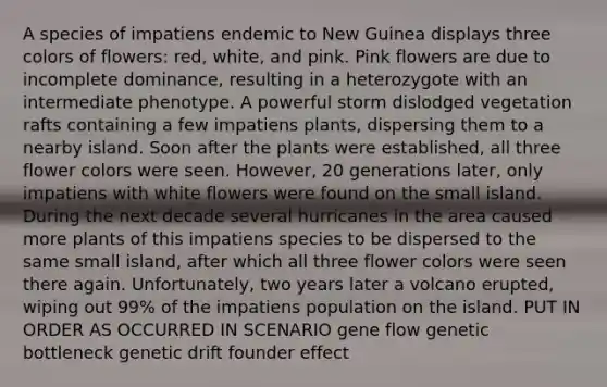 A species of impatiens endemic to New Guinea displays three colors of flowers: red, white, and pink. Pink flowers are due to incomplete dominance, resulting in a heterozygote with an intermediate phenotype. A powerful storm dislodged vegetation rafts containing a few impatiens plants, dispersing them to a nearby island. Soon after the plants were established, all three flower colors were seen. However, 20 generations later, only impatiens with white flowers were found on the small island. During the next decade several hurricanes in the area caused more plants of this impatiens species to be dispersed to the same small island, after which all three flower colors were seen there again. Unfortunately, two years later a volcano erupted, wiping out 99% of the impatiens population on the island. PUT IN ORDER AS OCCURRED IN SCENARIO gene flow genetic bottleneck genetic drift founder effect