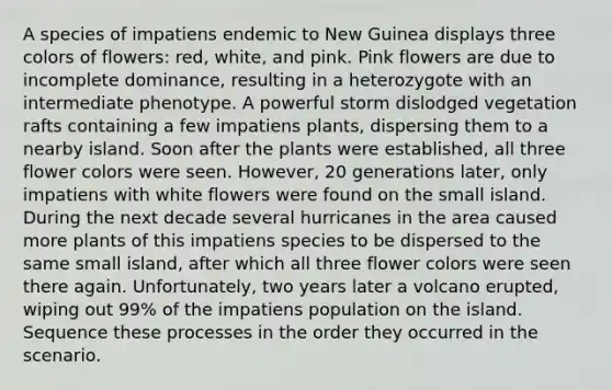 A species of impatiens endemic to New Guinea displays three colors of flowers: red, white, and pink. Pink flowers are due to incomplete dominance, resulting in a heterozygote with an intermediate phenotype. A powerful storm dislodged vegetation rafts containing a few impatiens plants, dispersing them to a nearby island. Soon after the plants were established, all three flower colors were seen. However, 20 generations later, only impatiens with white flowers were found on the small island. During the next decade several hurricanes in the area caused more plants of this impatiens species to be dispersed to the same small island, after which all three flower colors were seen there again. Unfortunately, two years later a volcano erupted, wiping out 99% of the impatiens population on the island. Sequence these processes in the order they occurred in the scenario.