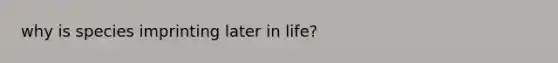 why is species imprinting later in life?