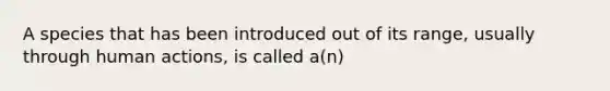 A species that has been introduced out of its range, usually through human actions, is called a(n)