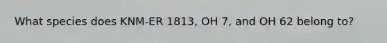 What species does KNM-ER 1813, OH 7, and OH 62 belong to?