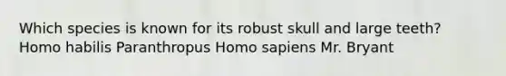 Which species is known for its robust skull and large teeth? <a href='https://www.questionai.com/knowledge/kG3hgw3hYa-homo-habilis' class='anchor-knowledge'>homo habilis</a> Paranthropus <a href='https://www.questionai.com/knowledge/k9aqcXDhxN-homo-sapiens' class='anchor-knowledge'>homo sapiens</a> Mr. Bryant