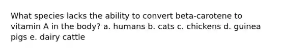 What species lacks the ability to convert beta-carotene to vitamin A in the body? a. humans b. cats c. chickens d. guinea pigs e. dairy cattle