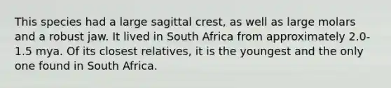 This species had a large sagittal crest, as well as large molars and a robust jaw. It lived in South Africa from approximately 2.0-1.5 mya. Of its closest relatives, it is the youngest and the only one found in South Africa.