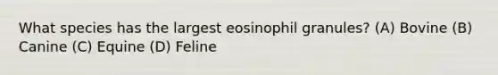 What species has the largest eosinophil granules? (A) Bovine (B) Canine (C) Equine (D) Feline