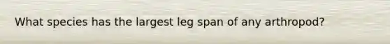 What species has the largest leg span of any arthropod?