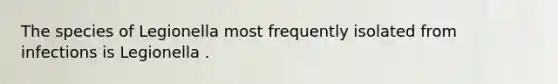 The species of Legionella most frequently isolated from infections is Legionella .