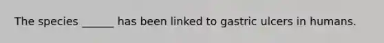 The species ______ has been linked to gastric ulcers in humans.