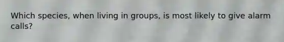 Which species, when living in groups, is most likely to give alarm calls?