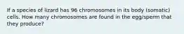 If a species of lizard has 96 chromosomes in its body (somatic) cells. How many chromosomes are found in the egg/sperm that they produce?