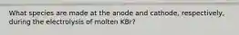 What species are made at the anode and cathode, respectively, during the electrolysis of molten KBr?