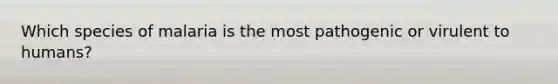 Which species of malaria is the most pathogenic or virulent to humans?