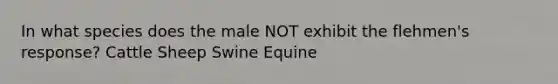 In what species does the male NOT exhibit the flehmen's response? Cattle Sheep Swine Equine